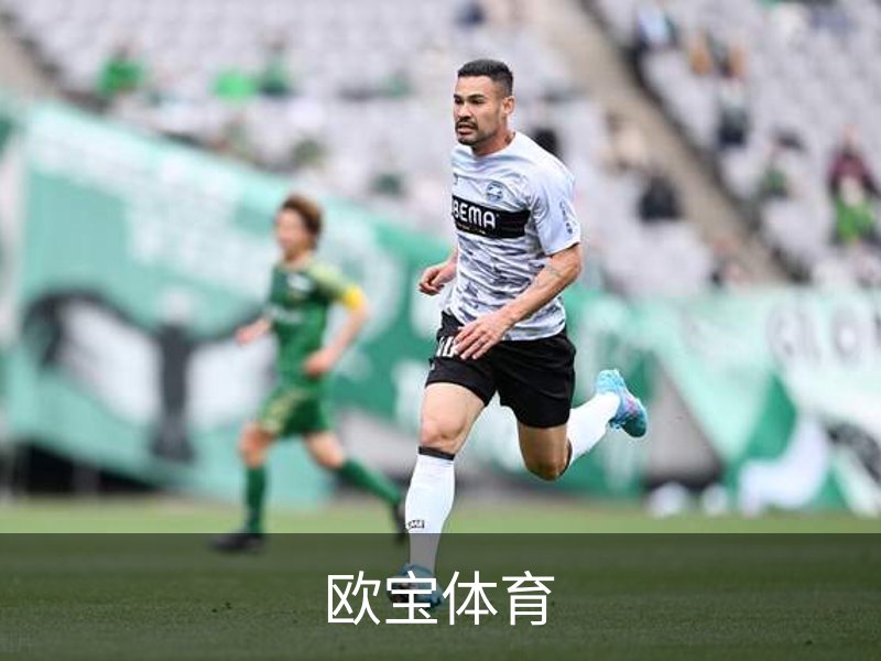 关于欧宝体育